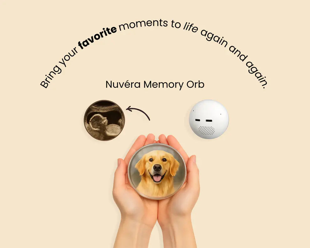 Slyner™ Memory Orb
