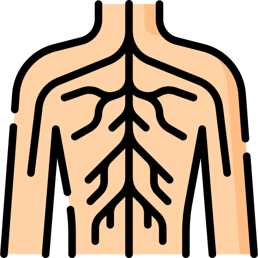 Slyner™ A-EMS NeuroPulse Pro